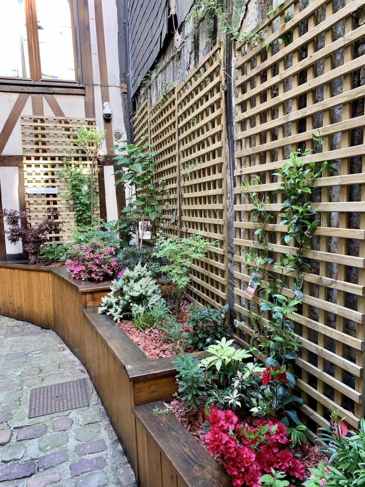 L Hibiscus 1 Apartment
